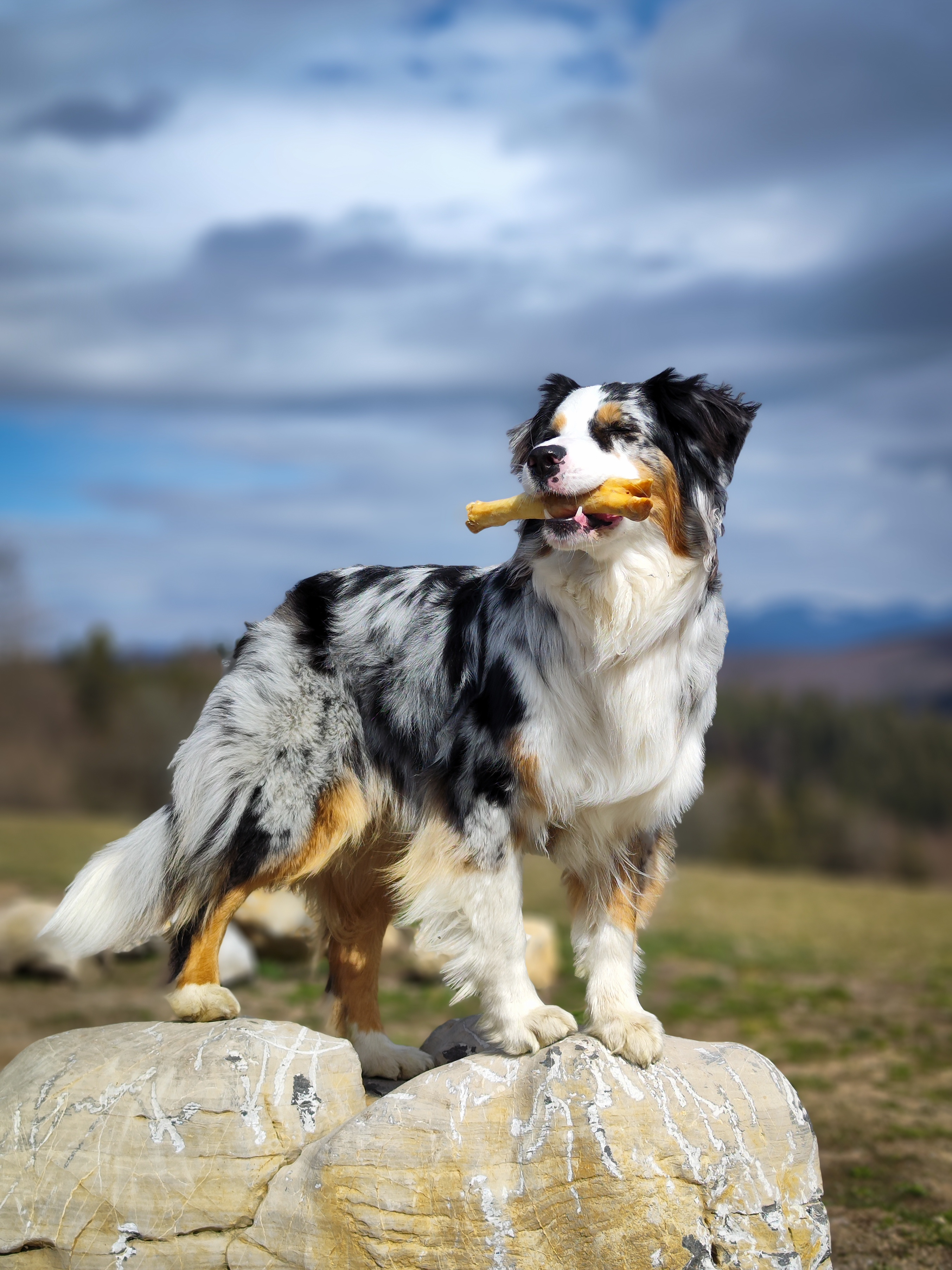 Natureca® JEHNEčˇI NOŽKY
